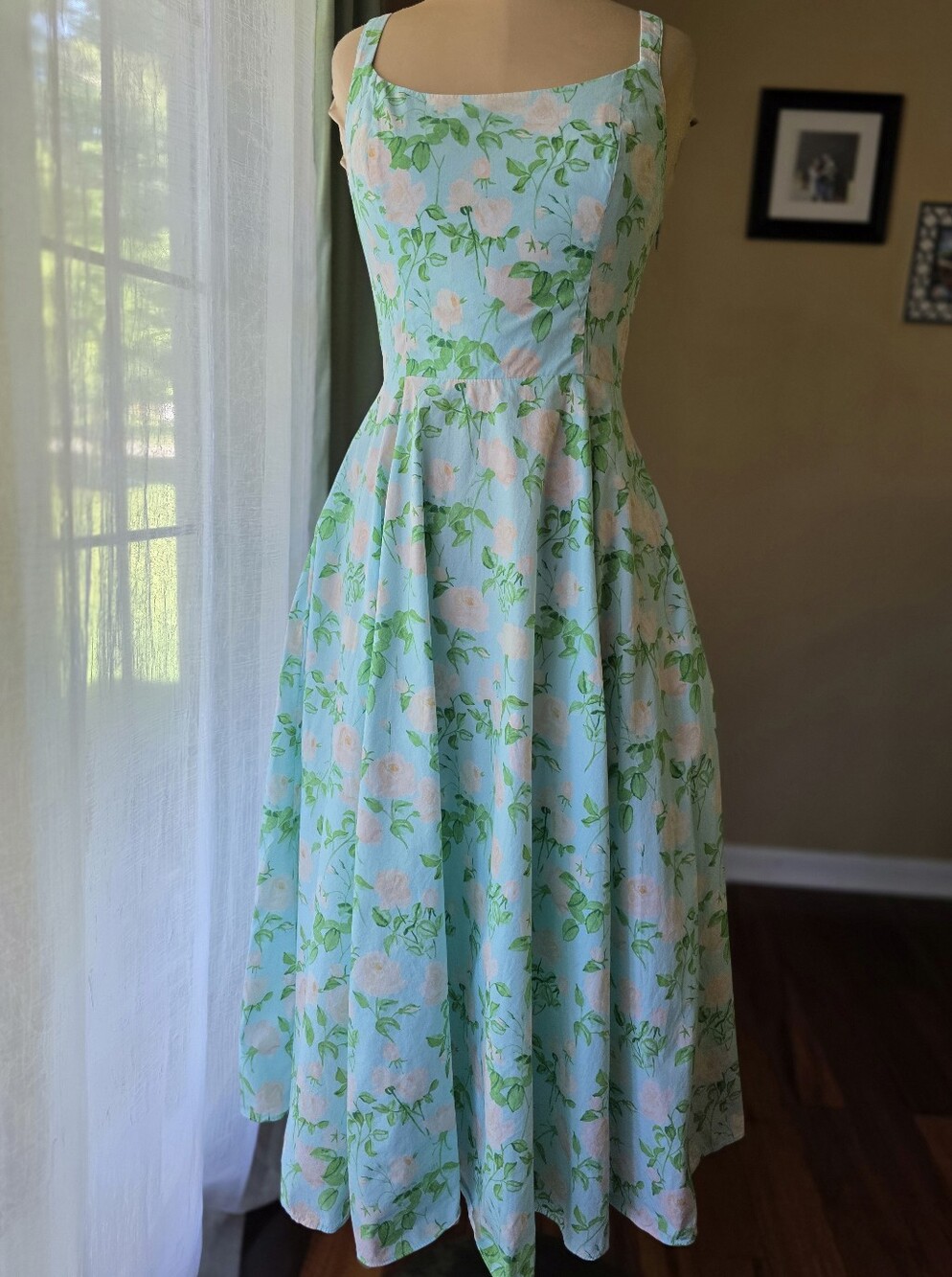 Hill House Rare Sample One of a Kind Princess Cut Daphne Dress Blue Roses XSmall